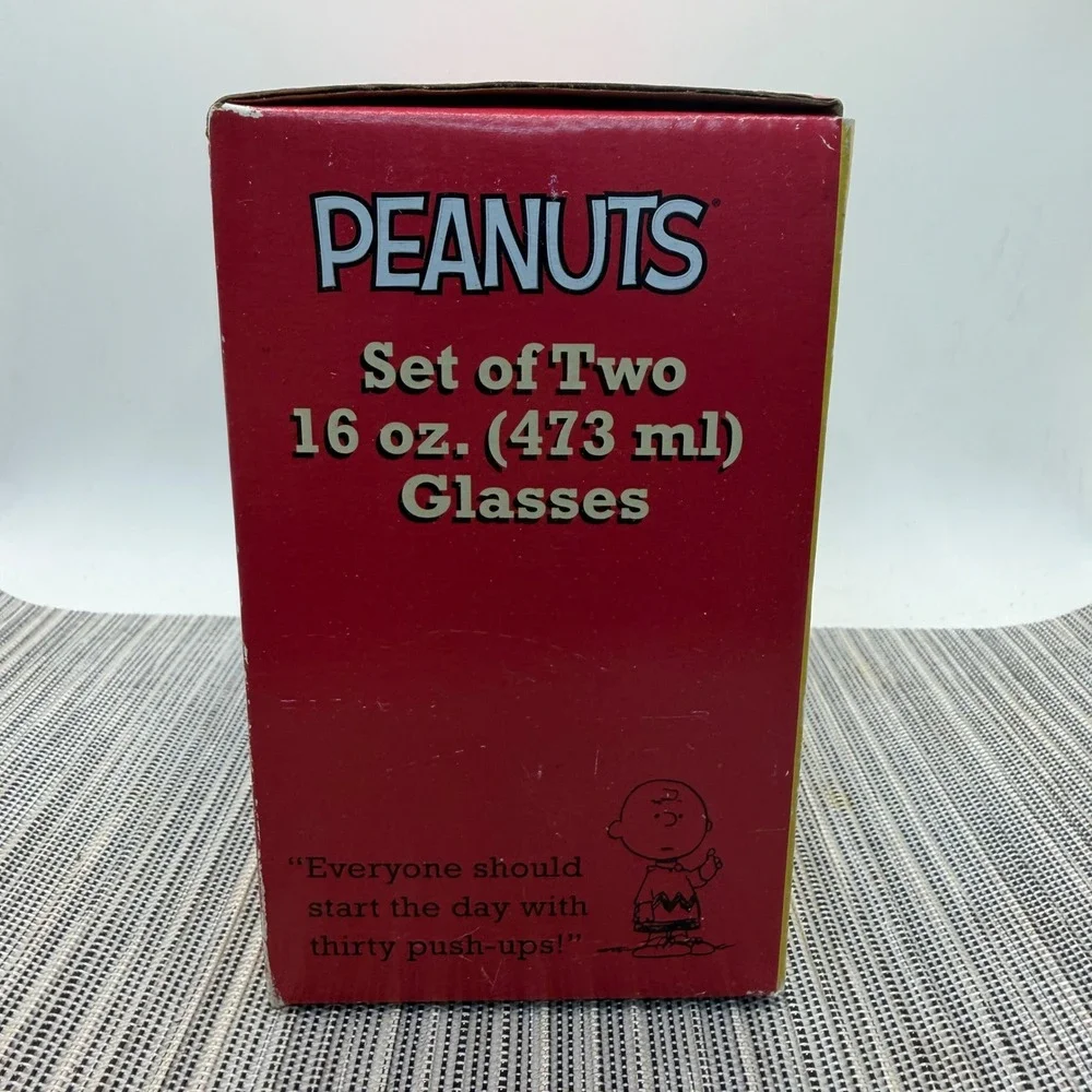 Peanuts Charlie Brown Lucy 16oz Glass Set of 2 Vandor 54561 Vintage Style Boxed